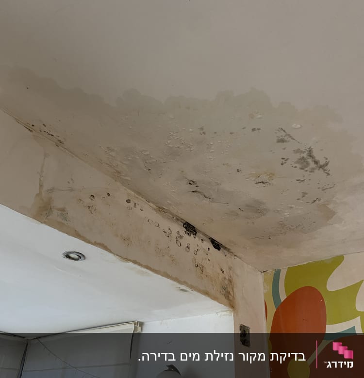 תקרה עם סימני רטיבות ועובש